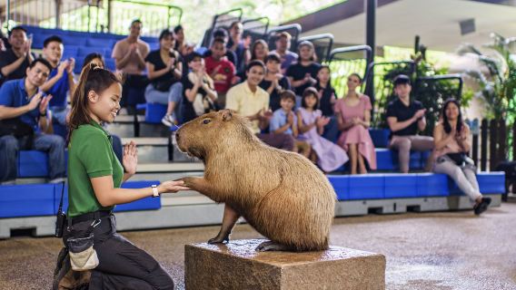 新加坡河川生態園+夜間動物園【專車接駁+不共乘+含門票】