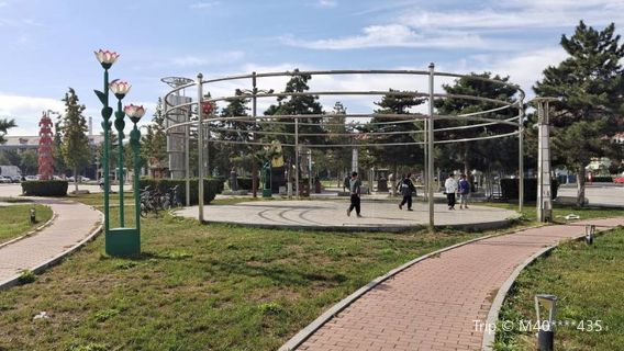 Anguo Traditional Chinese Medicine Guomao Central Square