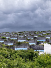 山型住宅