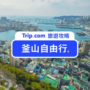 【2026 釜山自由行】釜山這樣玩！交通/換錢/景點/住宿攻略