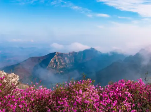 다헤이산 풍경구