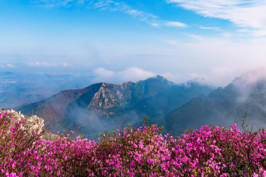 大黑山景區