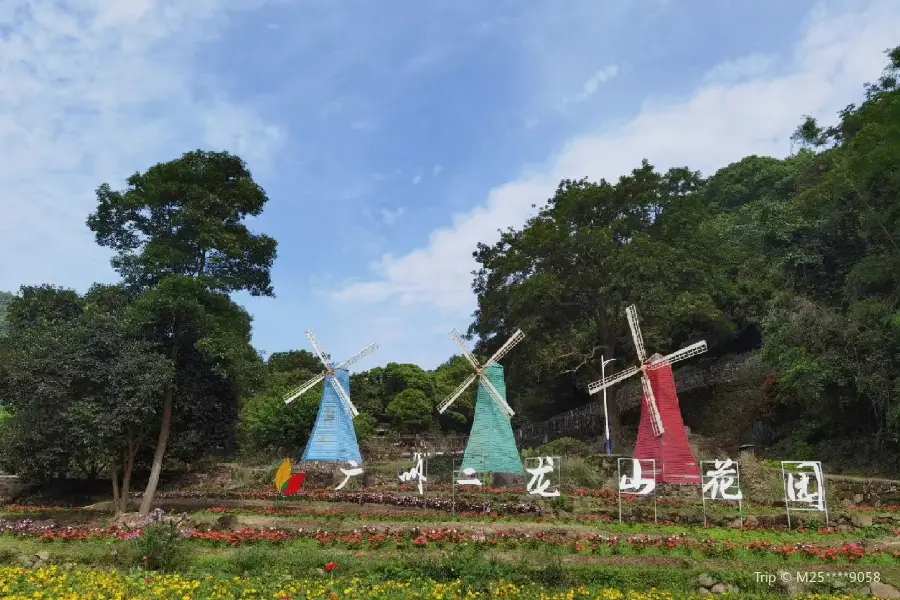 얼룽산 생태 공원-우림 꽃바다 문화 관광구