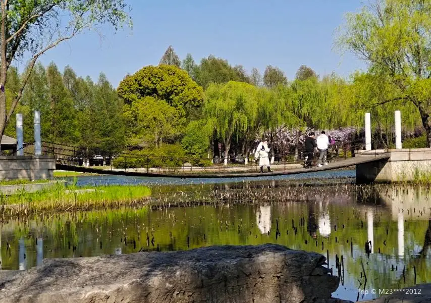 蓮池湖公園