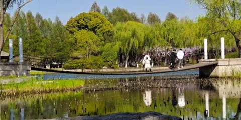 蓮池湖公園