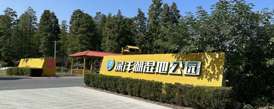 水上森林