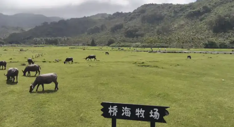 Hotels near Qiaohaicun