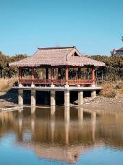 Dingshanhu Scenic Area