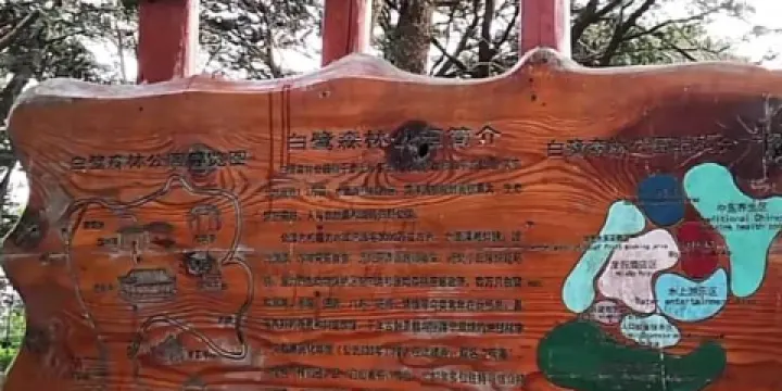 漳浦縣白鷺森林公園