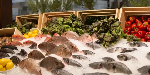 Elia Mediterranean Restaurant