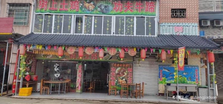 树上土鸡