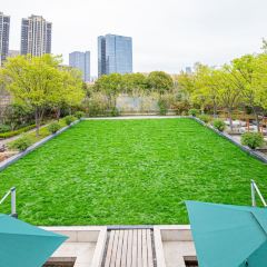 一味清欢·观园 User Photo