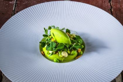 Ratatouille Food & Wine