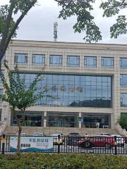 Yichun Library