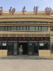 Zhongguodaomi Museum