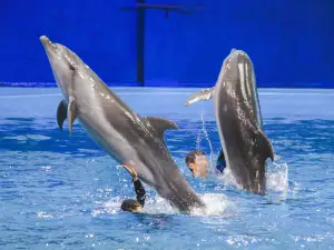 지안 해양 세계