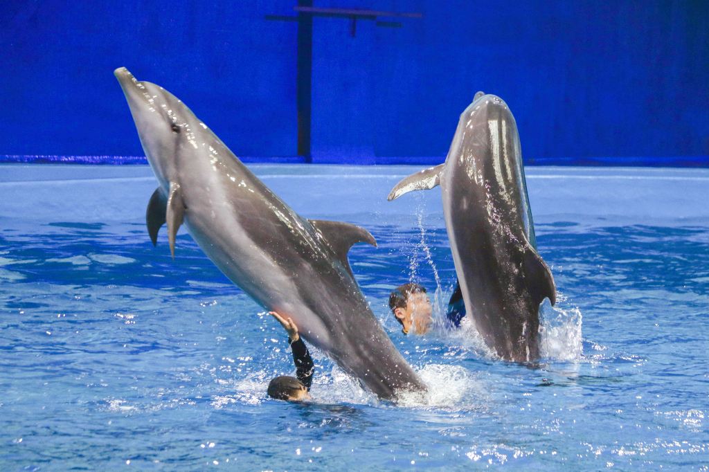 Ji'an Ocean World