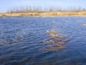 Gucheng Bay Tourist Area