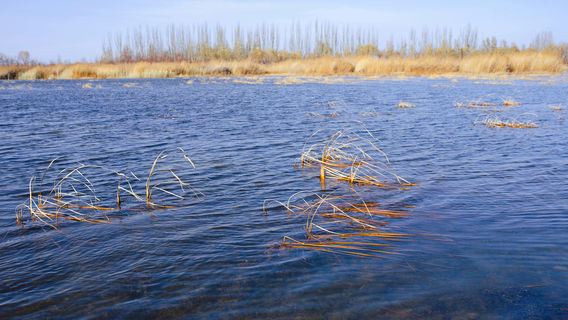 Gucheng Bay Tourist Area