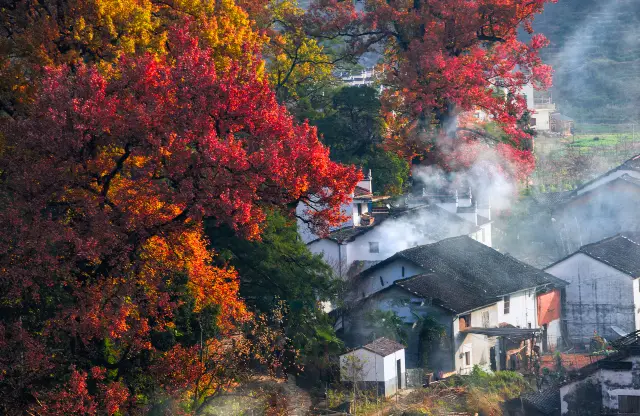 Fall Leaves Viewing in Shangrao