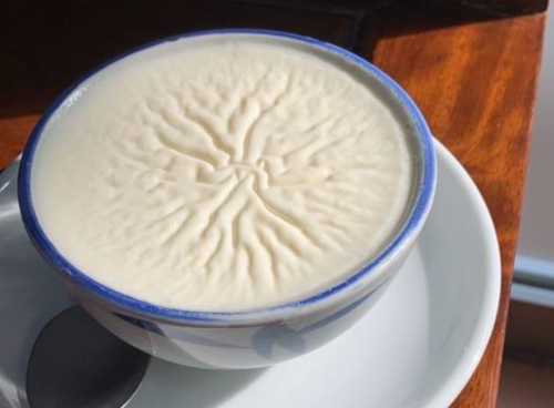 Bo Kin Milk Company