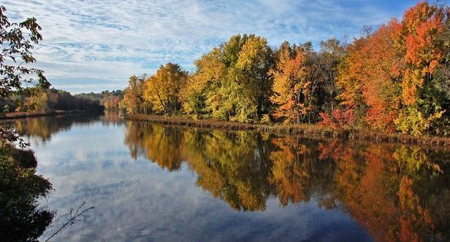 Otter Creek