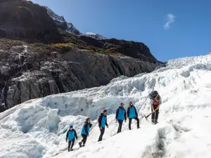 Fox Glacier