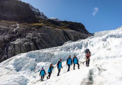 Fox Glacier