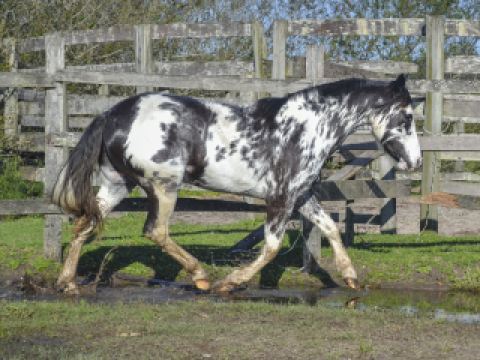 Houston To Cancun Flight Time