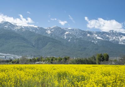 Cai Village