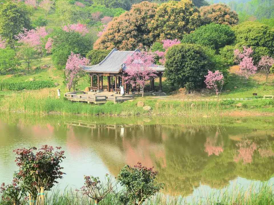 3_Qingxiu Mountain