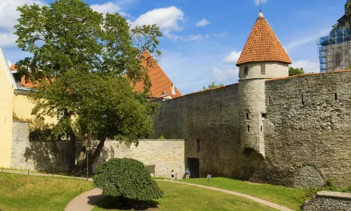 Walls of Tallinn