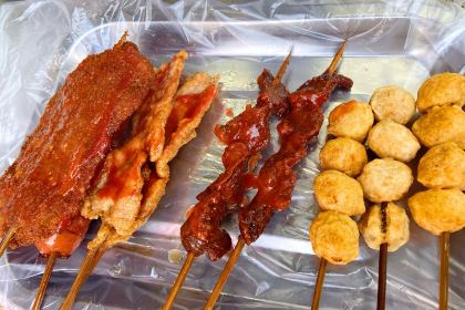 ZUN PIN XIANG ZHA LI JI