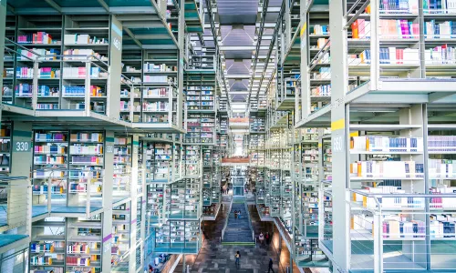 Vasconcelos library