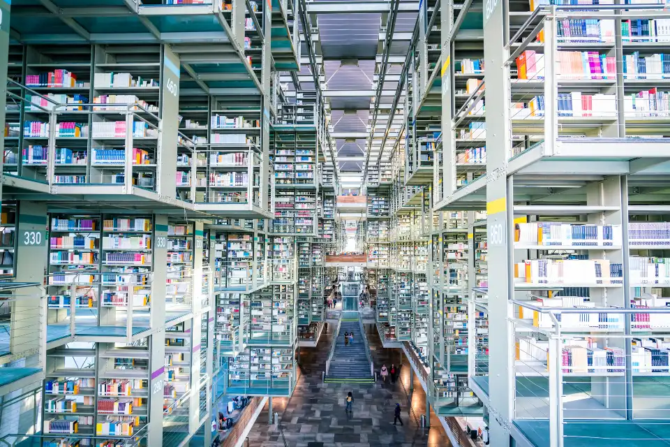 1_Vasconcelos library