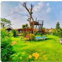 คาเฟ่ หนองบัวลำภู