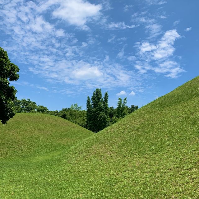 [여름여름한 경주 대릉원]