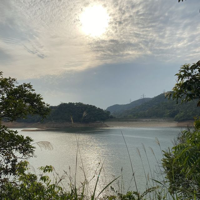 夏日炎炎探馬蹓@金山