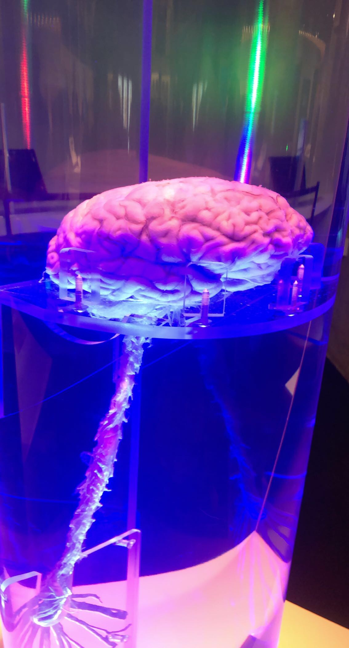 ダラス ペロー自然科学博物館 評判 案内 トリップドットコム ダラス ペロー自然科学博物館 評判 案内 トリップドットコム