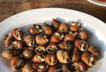 Bandar Djakarta User Photo