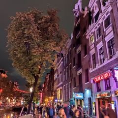 Red Light Bar User Photo