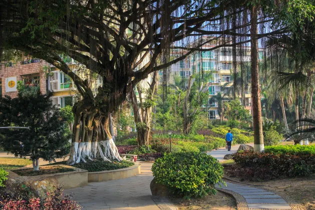 Отели с услугой фитнес-залом в г. Лишуй