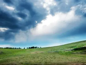 Lantern River Grassland