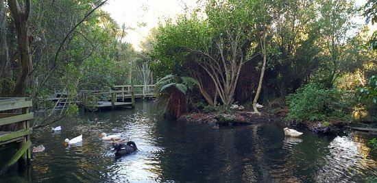 Willowbank Wildlife Reserve