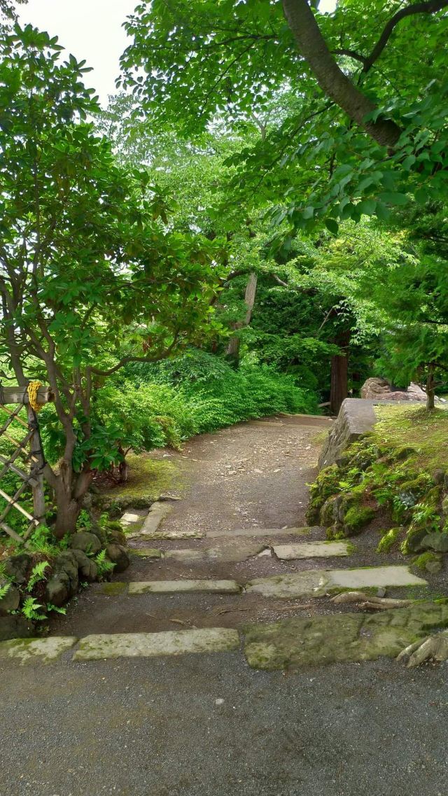 Fujita Memorial Japanese Garden