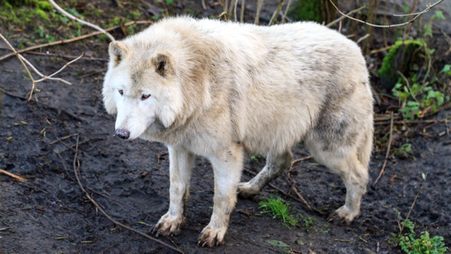 Jinshi Yunding Wildlife Park