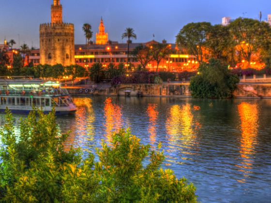 Cruceros Torre del Oro