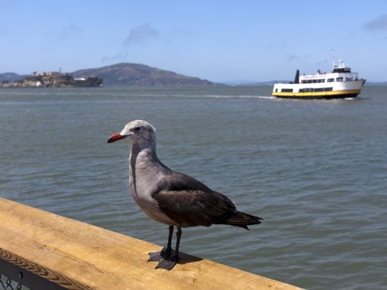 Fisherman's Wharf