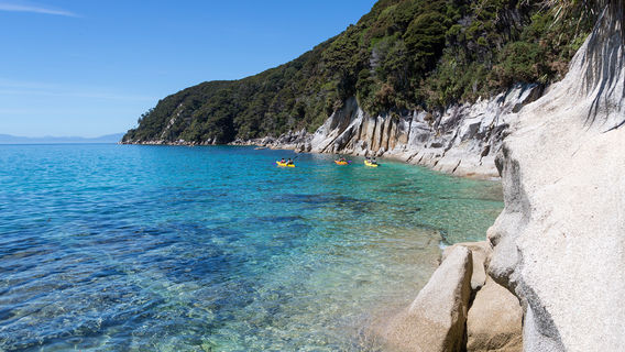 Tasman