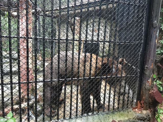Hainan Tropical Wildlife Park
